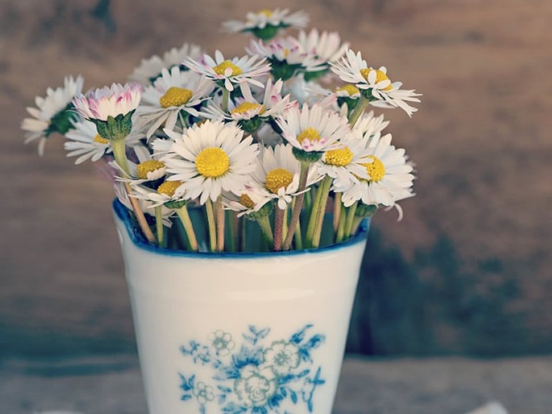 19/10/2017-5 Cute & Simple Vase Fillers